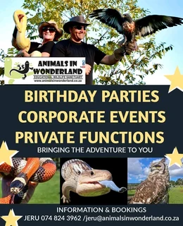 Birthday parties &amp; corporate events