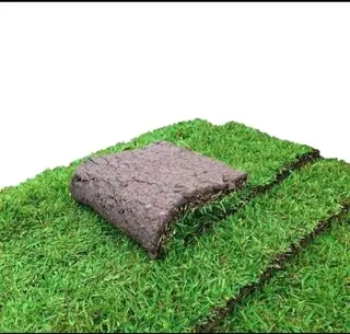 NATURAL ROLL LAWN GRASS INSTALLATION AT AFFORDABLE COST FREE QUOTATION