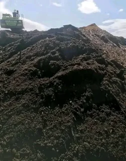 NATURAL ROLL LAWN GRASS INSTALLATION AT AFFORDABLE COST FREE QUOTATION