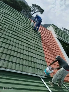 ROOF PAINTING AND WATERPROOFING ETC AT AFFORDABLE COST FREE QUOTATION