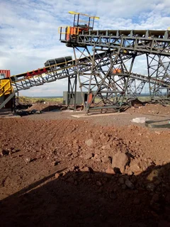 Gold and diamond plants