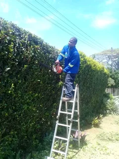 Anb Garden Services And Tree Felling