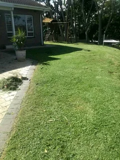 ANB GARDEN SERVICES AND TREE FELLING