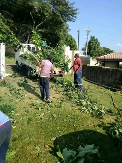 ANB GARDEN SERVICES AND TREE FELLING