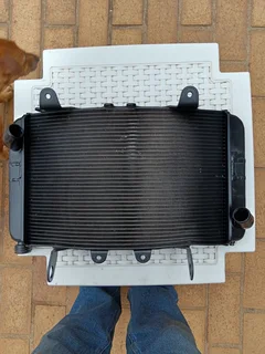 KTM 890R Duke - Radiator - also fits the KTM 790