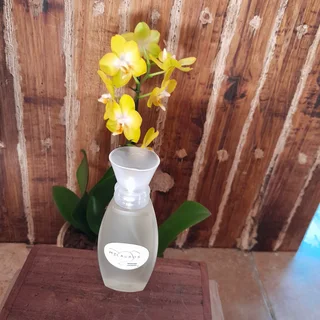 Mens Fragrances 50ml