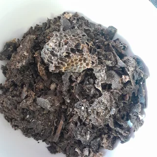 Refined Propolis 124g