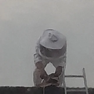 Bee Hive Removal