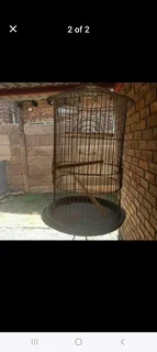 Bird Cage