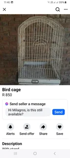 Bird Cage