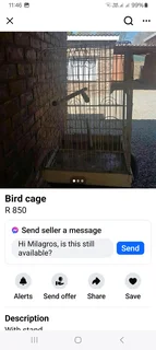 Bird Cage