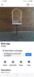 Bird Cage