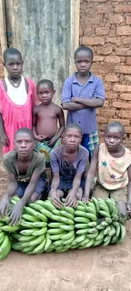 looking for a financial donor