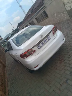 Polo tsi
