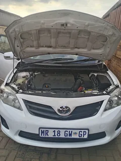 Polo tsi