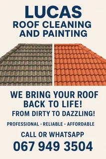 Lucas roofing cleaning and painting