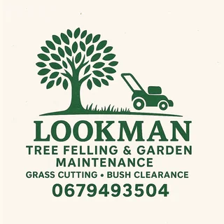 Tree felling and grass cutting