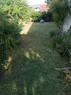 Tree felling and grass cutting