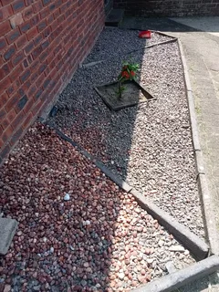 Tree felling and grass cutting