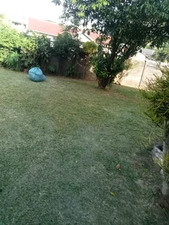 Tree felling and grass cutting