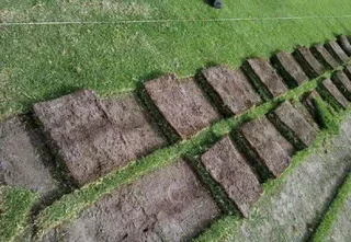 Natural Grass And Compost Supply And Installation