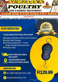 Scale - Ad Posted By Numzaan Supply