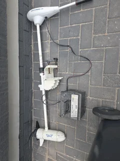 Electric outboard watersnake