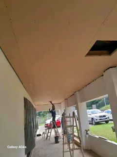 Professional roofing and repairs