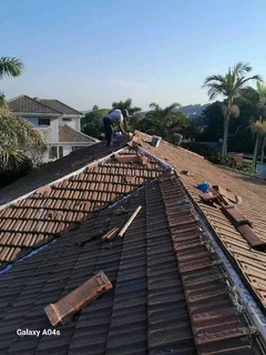 Professional and repairs