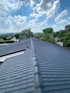 Professional and repairs