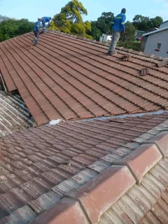 Professional roofing and repairs