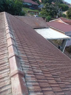 Professional roofing and repairs