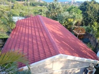 Professional roofing and repairs