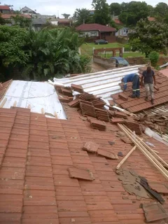Professional roofing and repairs