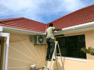 Professional roofing and repairs