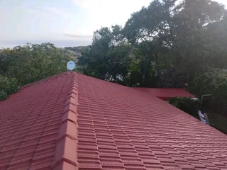 Professional roofing and repairs