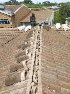 Professional roofing and repairs