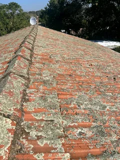 Professional roofing and repairs