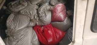 Gamazine and glamourcoat paint 0620015572