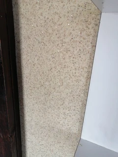 Gamazine and glamourcoat painting 0620015572