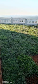 Taring,Paving,  retaining walls,potholes and instant