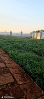 Tar driveways, Potholes, Concrete, Paving and Evergreen grass