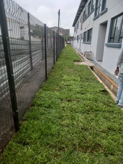 All season fresh grass