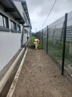 Evergreen grass fresh from the farm