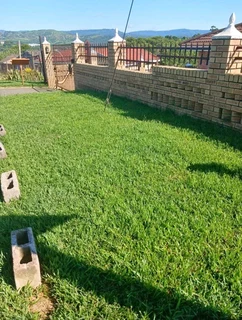 Instant lawn