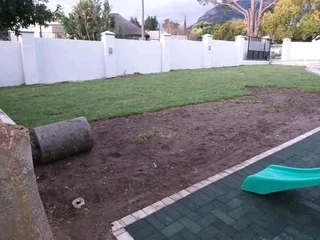 All season fresh grass