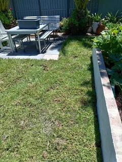 Instant grass