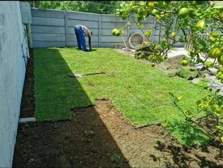 Instant lawn