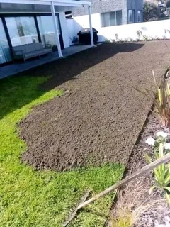 Instant lawn