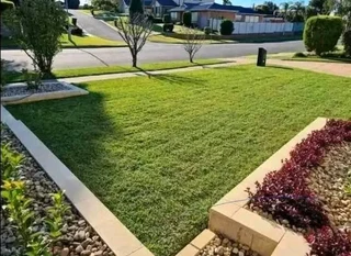 Evergreen grass fresh from the farm